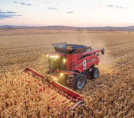 сельское хозяйство